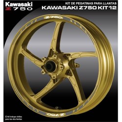 KAWASAKI Z750 Kit12