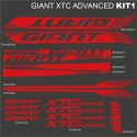Giant xtc advanced kit1