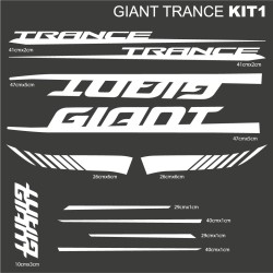 Giant kit11