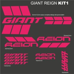 Giant Reign kit1