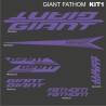 Giant Fathom kit1