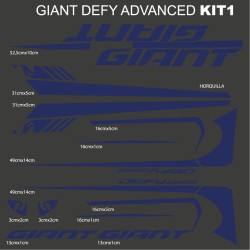 Giant defy advanced kit1