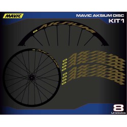 MAVIC AKSIUM DISC KIT1