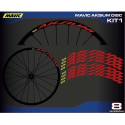 MAVIC AKSIUM DISC KIT1