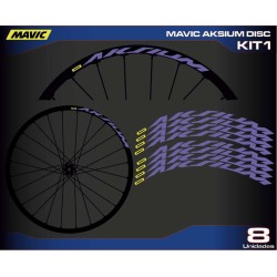 MAVIC AKSIUM DISC KIT1