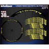 VISION TEAM 30 PISTA DE FRENADO KIT1