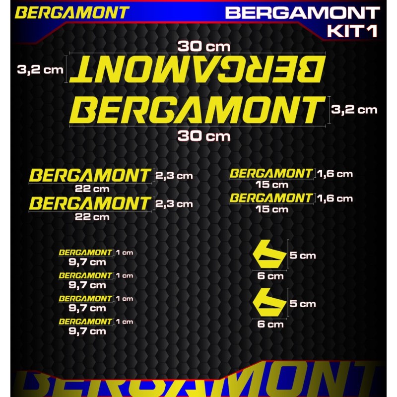 Bergamont kit1