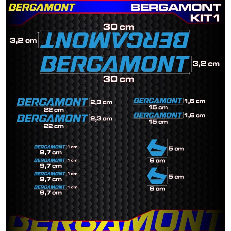 Bergamont kit1