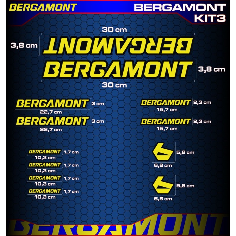 Bergamont kit3