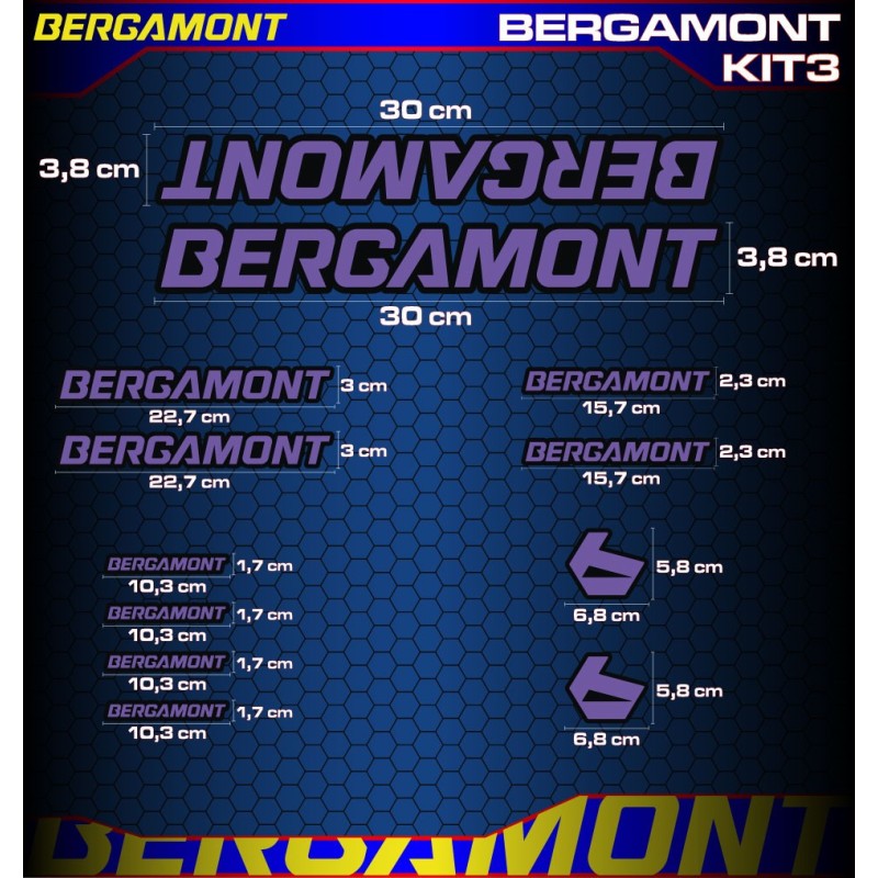 Bergamont kit3