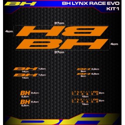 BH LYNX RACE EVO Kit1