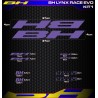 BH LYNX RACE EVO Kit1