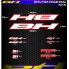 BH LYNK RACE EVO Kit4