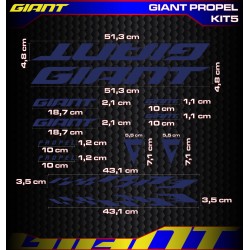 GIANT PROPEL Kit5