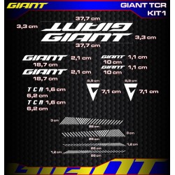 GIANT TCR Kit1