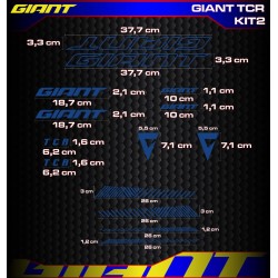 GIANT TCR Kit2