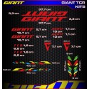 GIANT TCR Kit5