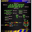 GIANT TCR Kit5