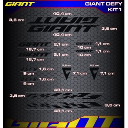 GIANT DEFY Kit1