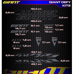 GIANT DEFY Kit2