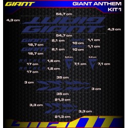 GIANT ANTHEM Kit1