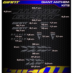 GIANT ANTHEM Kit2