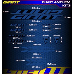 GIANT ANTHEM Kit3