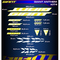 GIANT ANTHEM Kit4