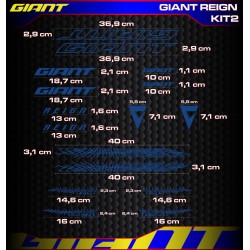 GIANT REIGN Kit2