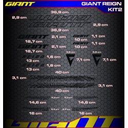 GIANT REIGN Kit2