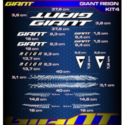 GIANT REIGN Kit4