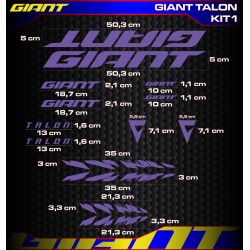 GIANT TALON Kit1