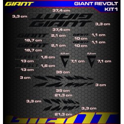 GIANT REVOLT Kit1