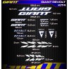 GIANT REVOLT Kit4