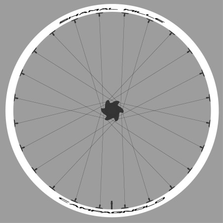 Campagnolo shamal mille Kit1