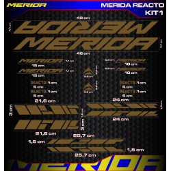 MERIDA REACTO Kit1