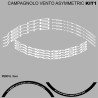 Campagnolo vento asymetric Kit1