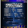 PINARELLO GREVIL Kit4