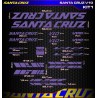SANTA CRUZ V10 Kit1