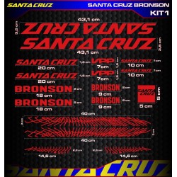 SANTA CRUZ BRONSON Kit1