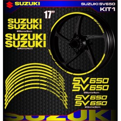 SUZUKI SV650 kit1
