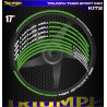 TRIUMPH TIGER SPORT 660 Kit2