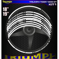 TRIUMPH TIGER 1200 GT Kit1