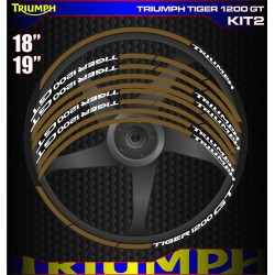 TRIUMPH TIGER 1200 GT Kit2