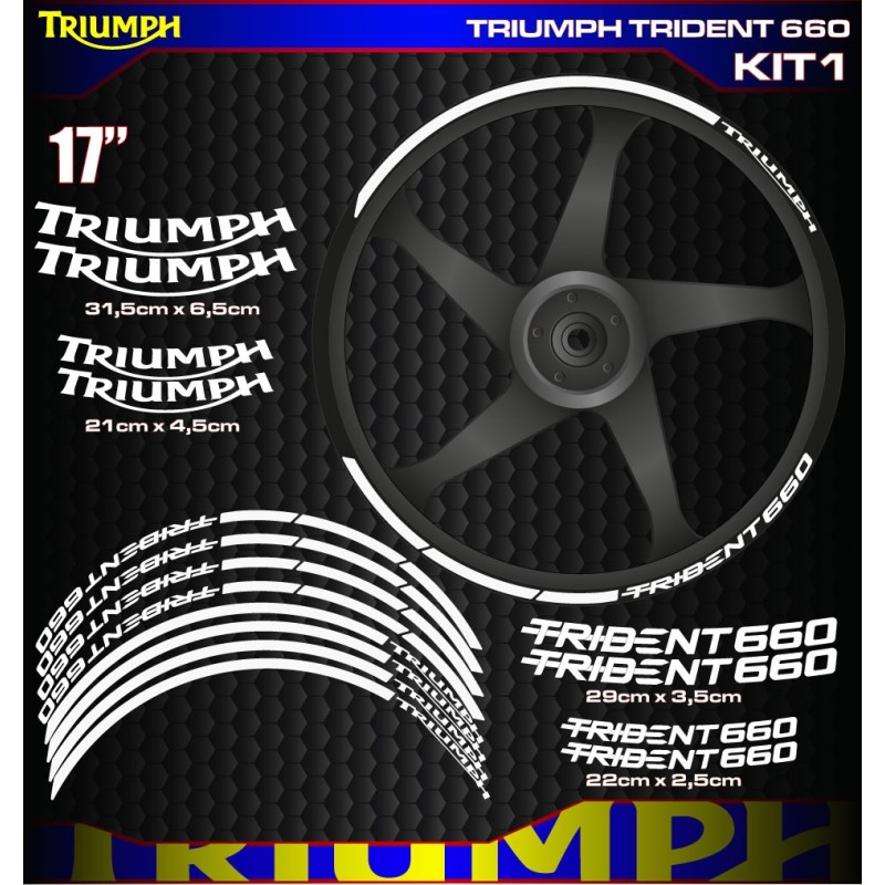 TRIUMPH TRIDENT 660 Kit1