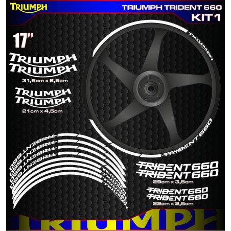 TRIUMPH TRIDENT 660 Kit1