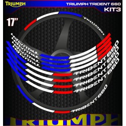 TRIUMPH TRIDENT 660 Kit3