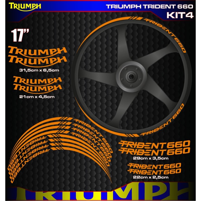 TRIUMPH TRIDENT 660 Kit4