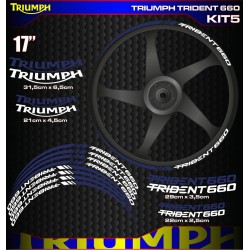 TRIUMPH TRIDENT 660 Kit5