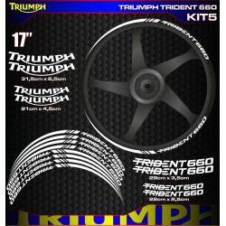TRIUMPH TRIDENT 660 Kit5
